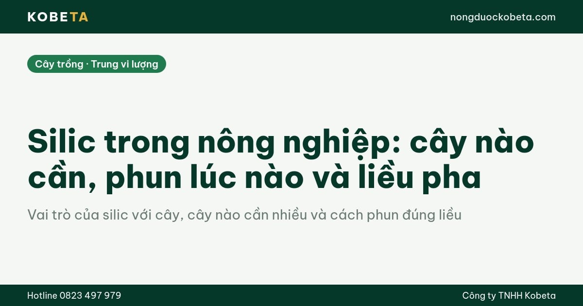 Silic trong nông nghiệp: cây nào cần, phun lúc nào và liều pha