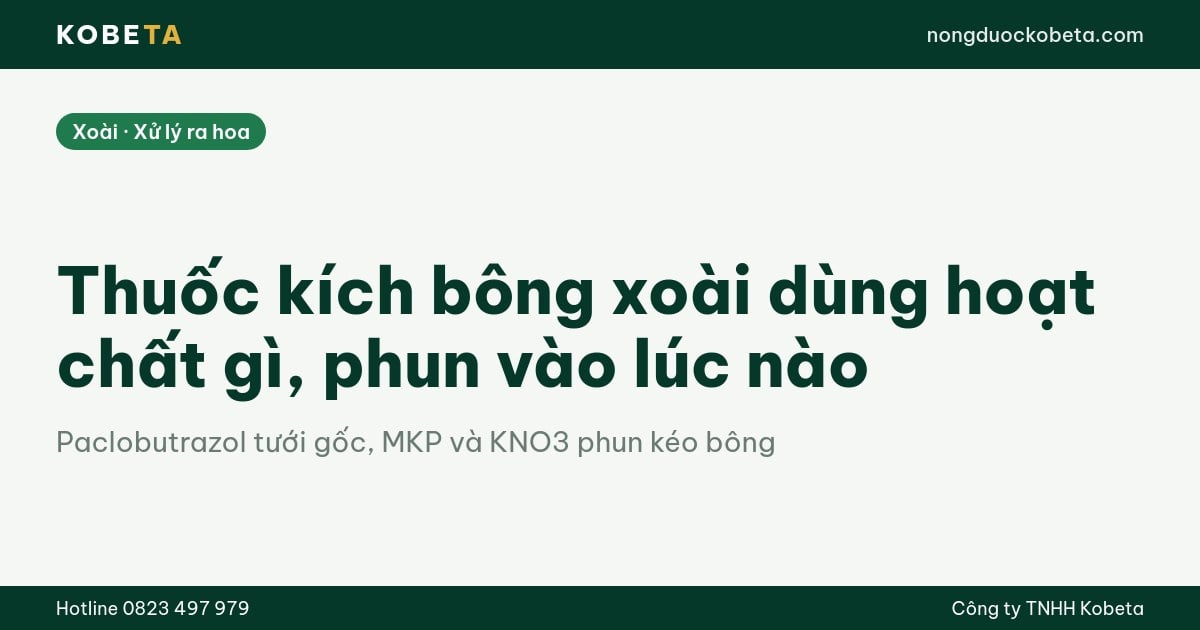 Thuốc kích bông xoài dùng hoạt chất gì, phun vào lúc nào