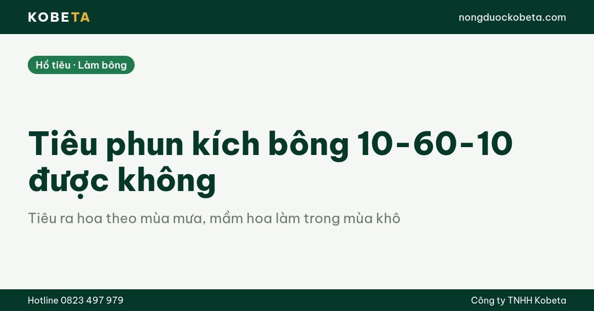Tiêu phun kích bông 10-60-10 được không: nhãn ghi tưới gốc