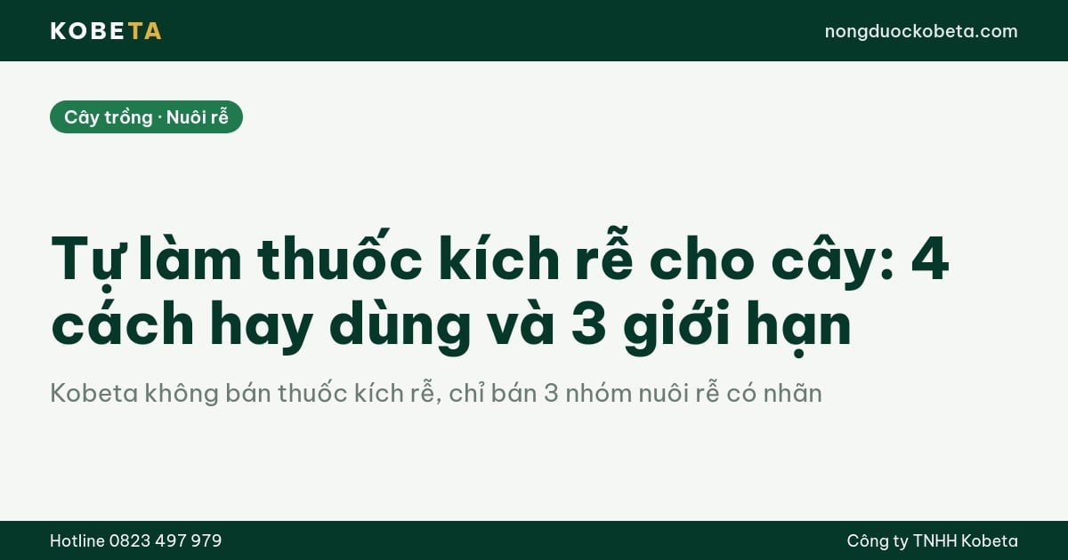 Tự làm thuốc kích rễ cho cây: 4 cách hay dùng và 3 giới hạn
