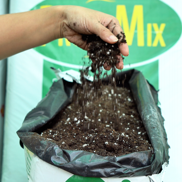 Hình ảnh sản phẩm