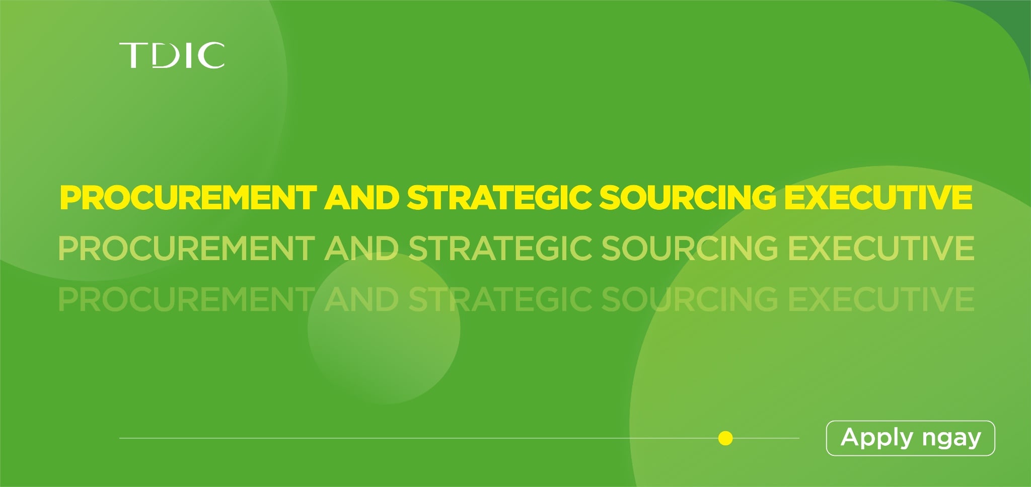 Procurement and Strategic Sourcing Executive