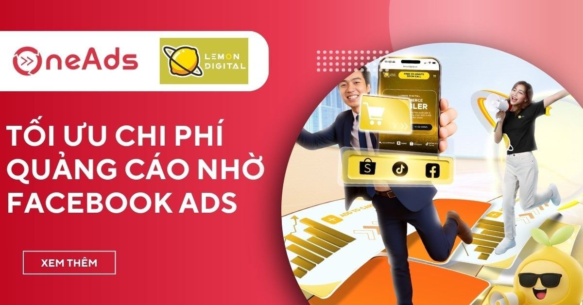 Case study Lemon Digital - Tối ưu Facebook Ads tìm kiếm khách hàng Global