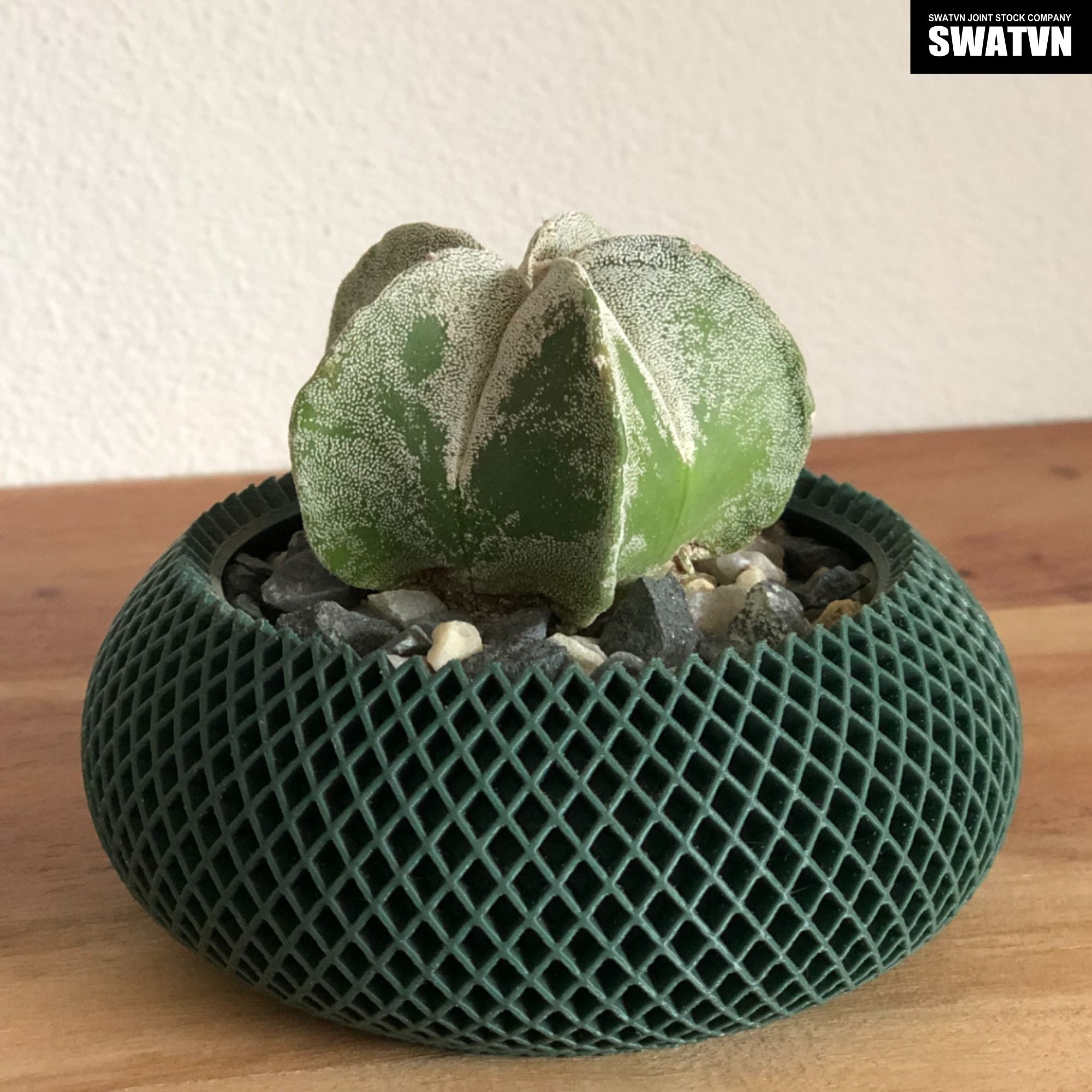 CUNG CẤP CHẬU CÂY IN 3D THEO YÊU CẦU – THIẾT KẾ ĐA DẠNG, SẢN XUẤT LINH HOẠT THEO ĐƠN ĐẶT HÀNG