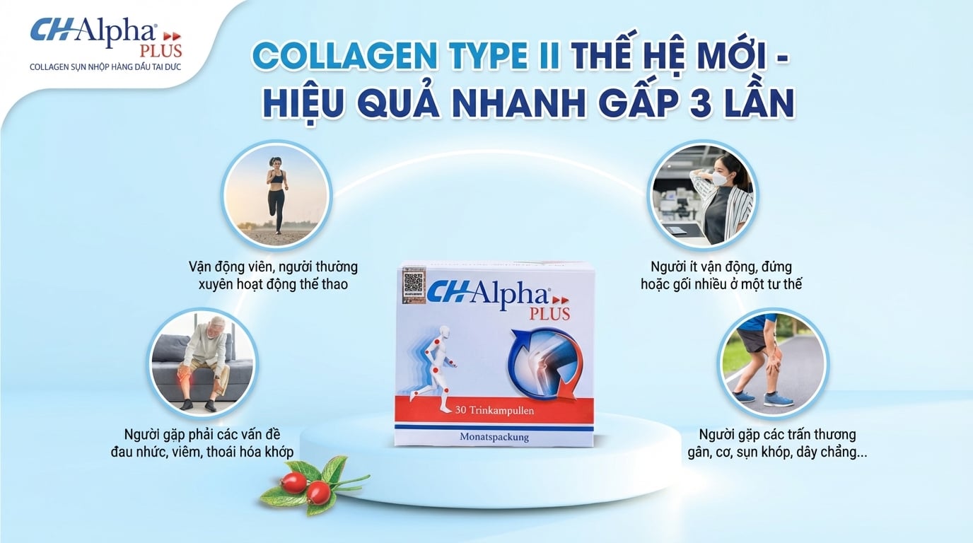 CH Alpha Plus Có Tốt Không? Tại Sao Collagen Type II Được Coi Là 