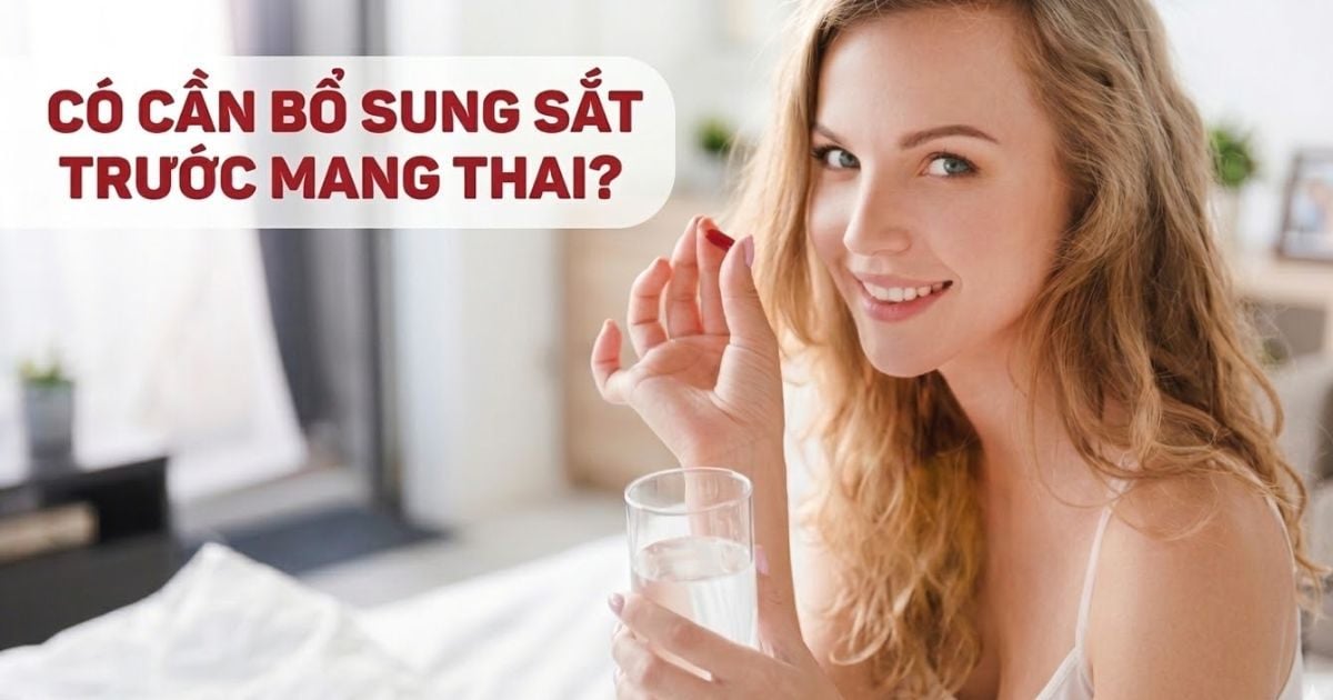 [Giải Đáp] Có Cần Bổ Sung Sắt Trước Mang Thai?