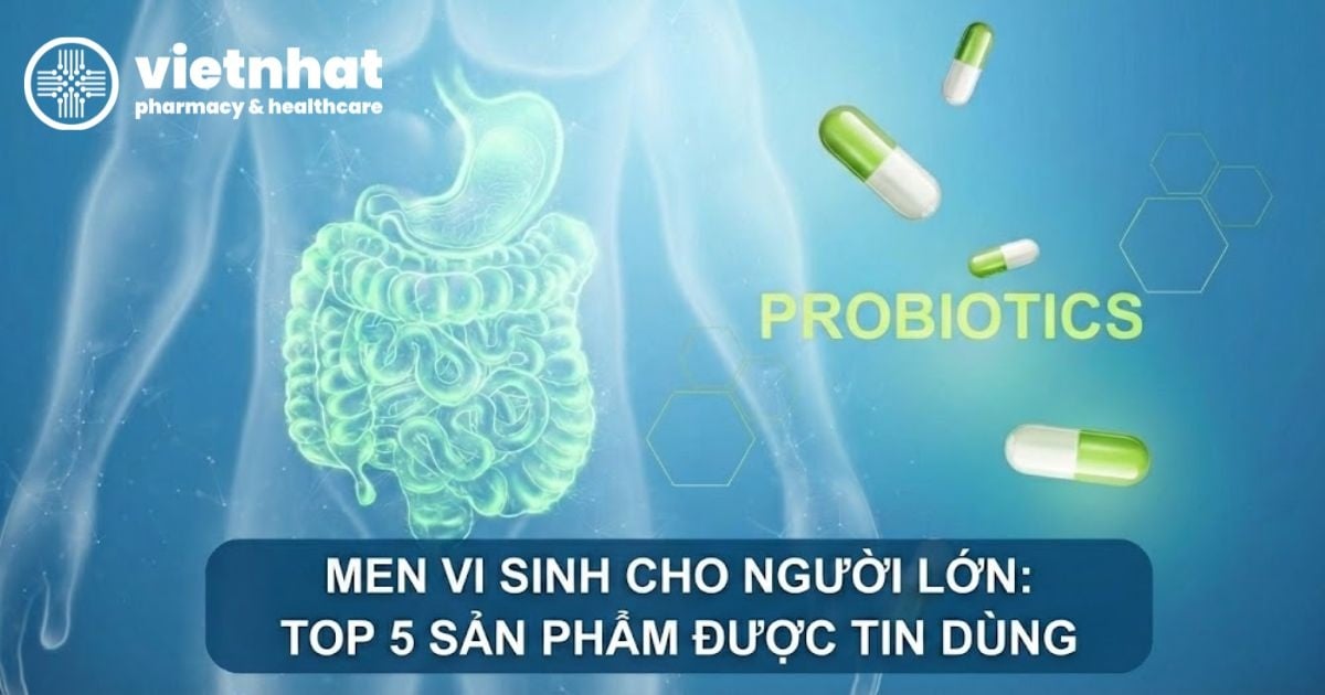 Men Vi Sinh Cho Người Lớn: Top 5 Sản Phẩm Được Tin Dùng