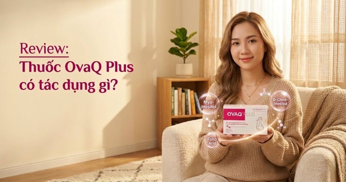 [Review] Thuốc OvaQ Plus có tác dụng gì? Giải mã bảng thành phần và mức giá thực tế.