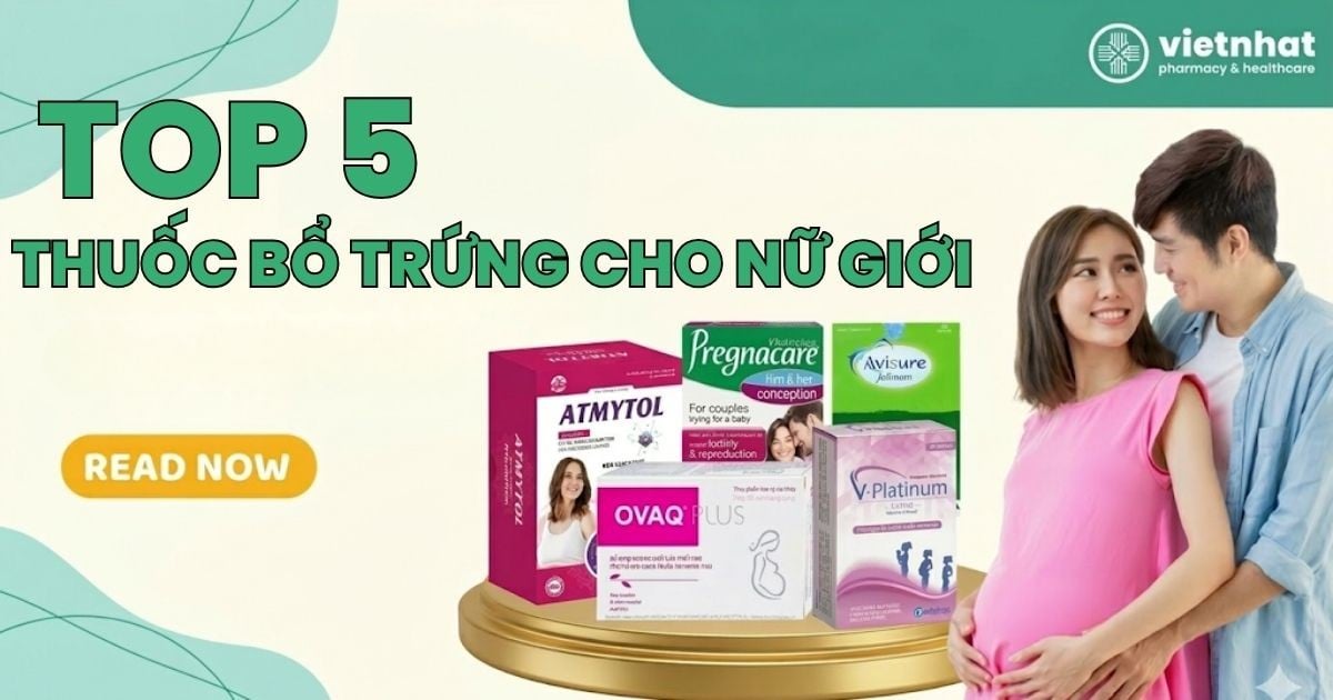 Thuốc bổ trứng là gì? Top 5 thuốc bổ trứng cho nữ giới hiện nay (Cập nhật 2026)