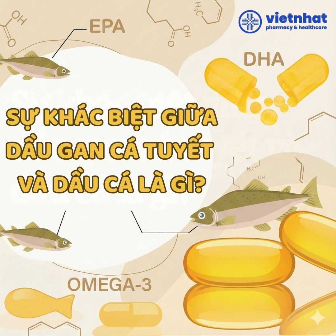 [Giải Đáp] Sự Khác Biệt Giữa Dầu Gan Cá Tuyết Và Dầu Cá Là Gì?