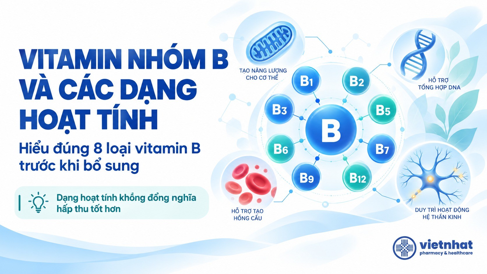 8 vitamin nhóm B: Dạng hoạt tính khác gì dạng thường?