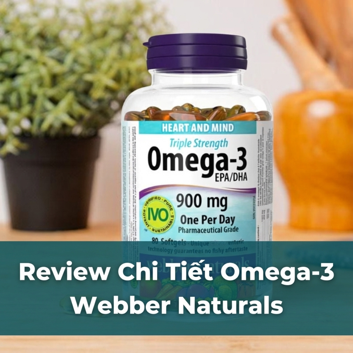 Review Chi Tiết Omega-3 Webber Naturals: Có Mấy Loại? Hàm Lượng & Cách Phân Biệt Chính Hãng