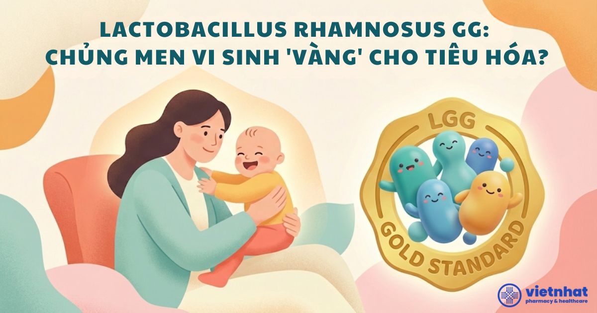 Lactobacillus rhamnosus GG: Tại Sao Được Gọi Là Chủng Men Vi Sinh 'Vàng' Cho Tiêu Hóa?