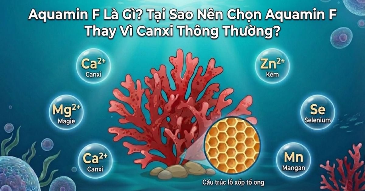 Aquamin F Là Gì? Tại Sao Nên Chọn Aquamin F Thay Vì Canxi Thông Thường?
