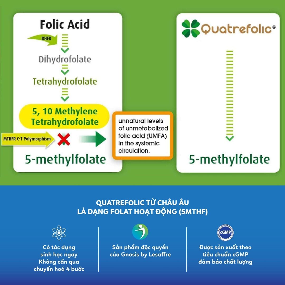 nhathuocvietnhat.vn - Avisure Folimom, bổ sung Quatrefolic® (5-MTHF), là dạng folate hoạt tính sinh học mà cơ thể có thể sử dụng trực tiếp