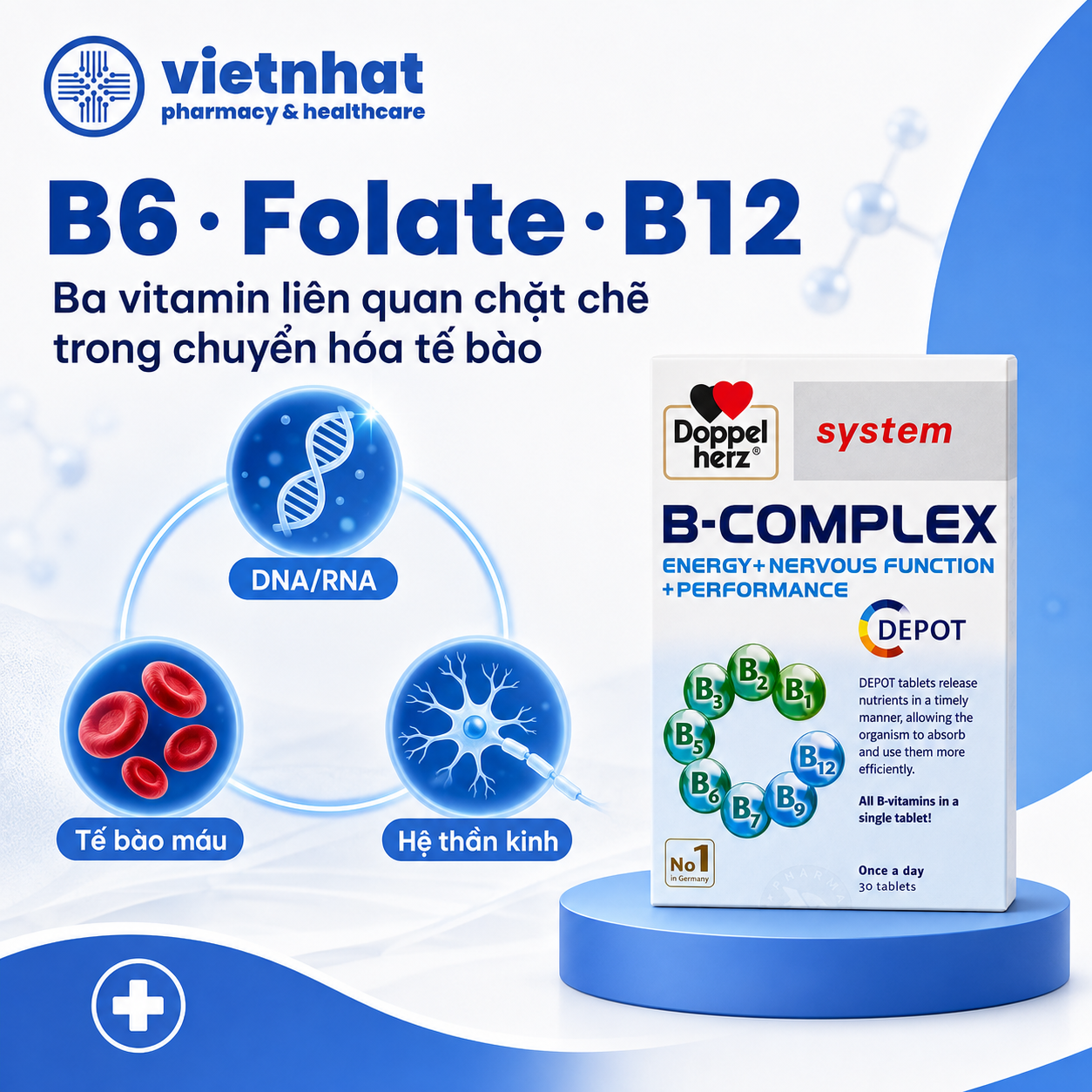 nhathuocvietnhat.vn-Vitamin B6 Folate và B12 liên quan đến chuyển hóa tế bào DNA tế bào máu và hệ thần kinh