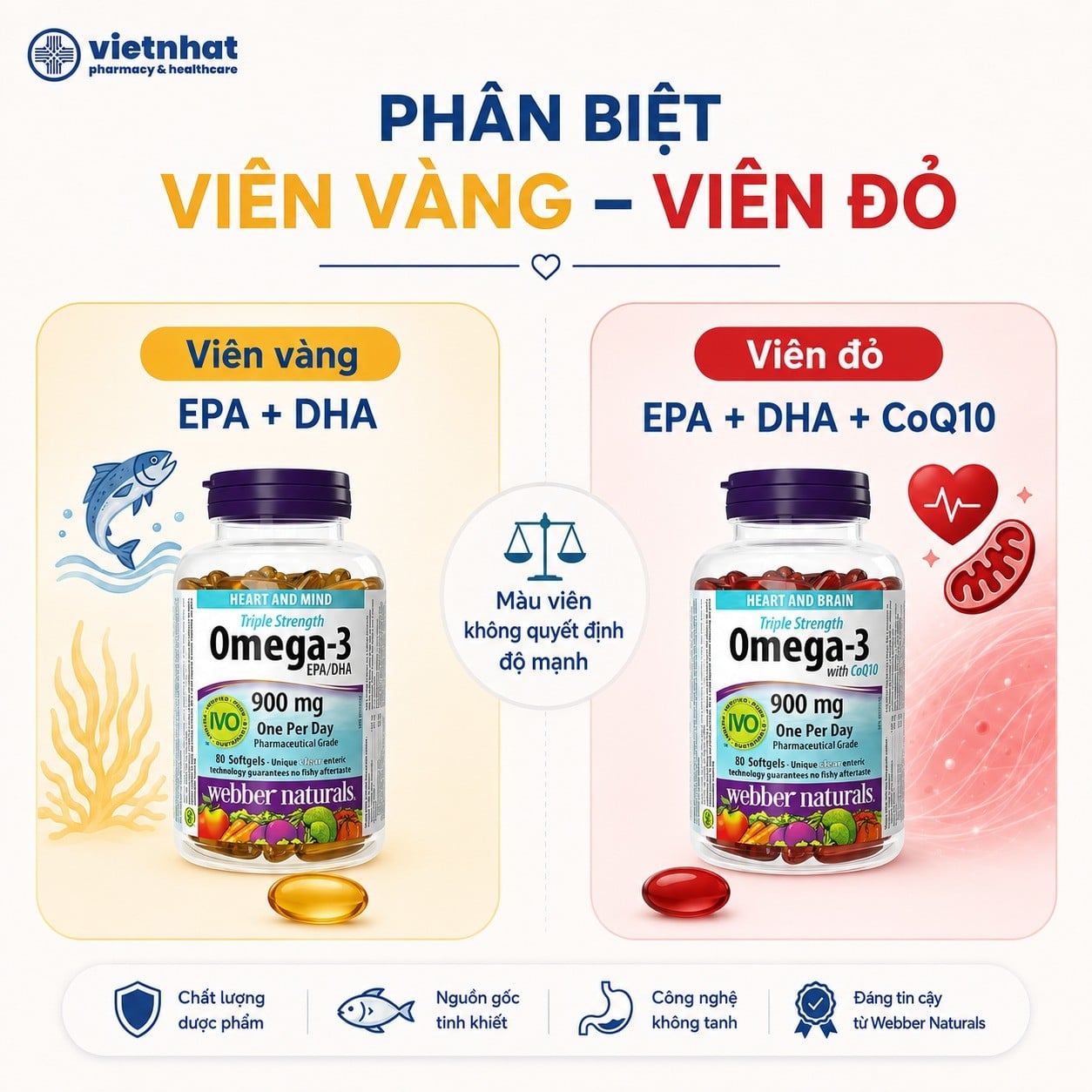 nhathuocvietnhat.vn-Phân biệt Omega 3 viên thuần và Omega 3 kết hợp CoQ10
