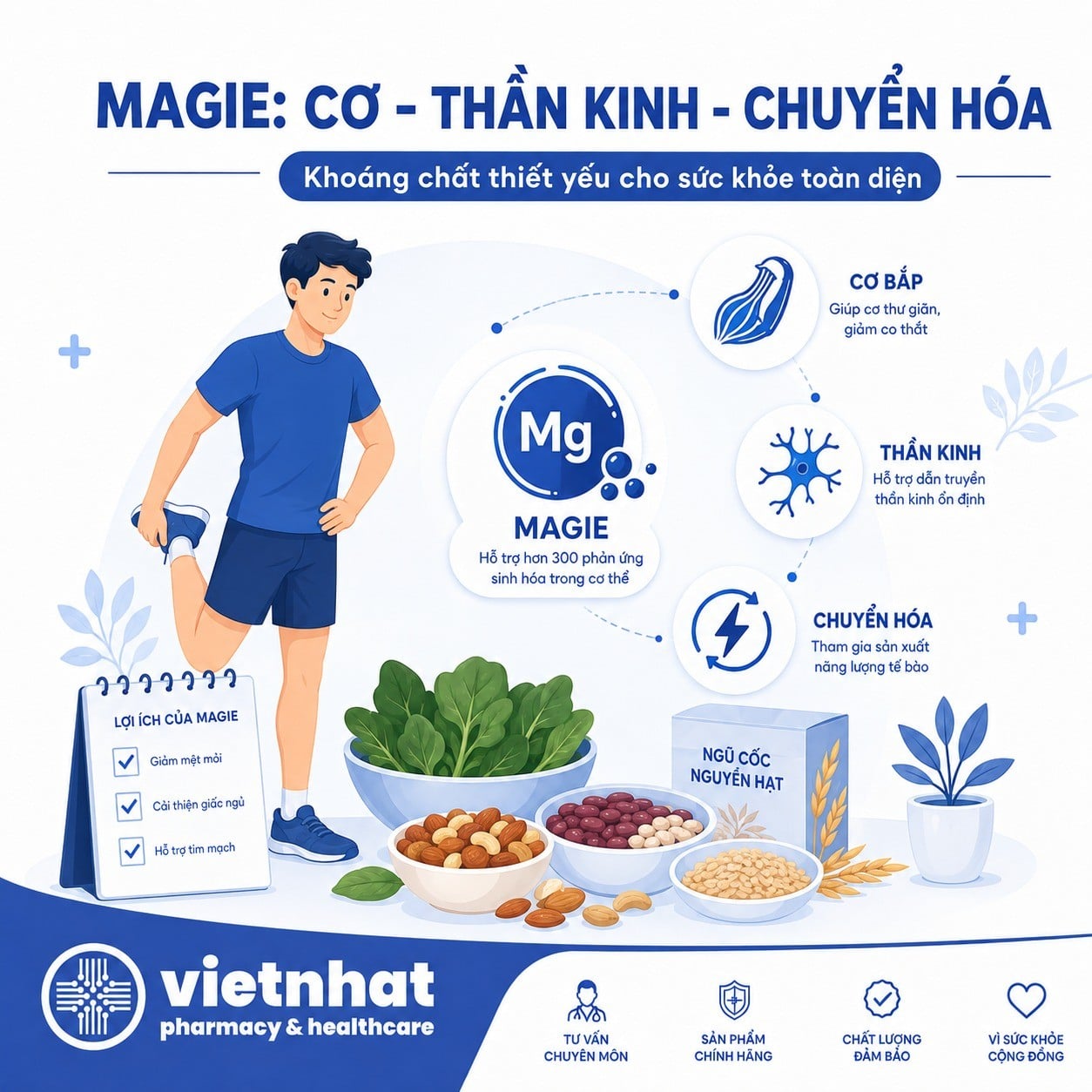nhathuocvietnhat.vn-Vai trò của magie đối với cơ bắp, hệ thần kinh và chuyển hóa năng lượng