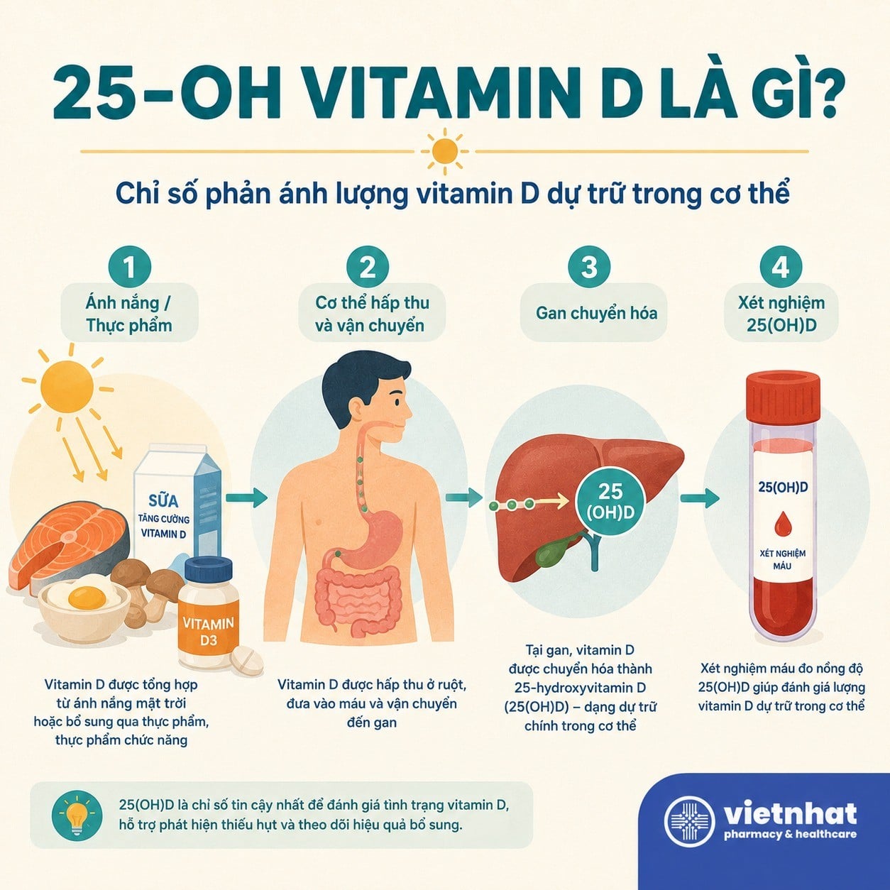 nhathuocvietnhat.vn- 25-OH vitamin D là gì?