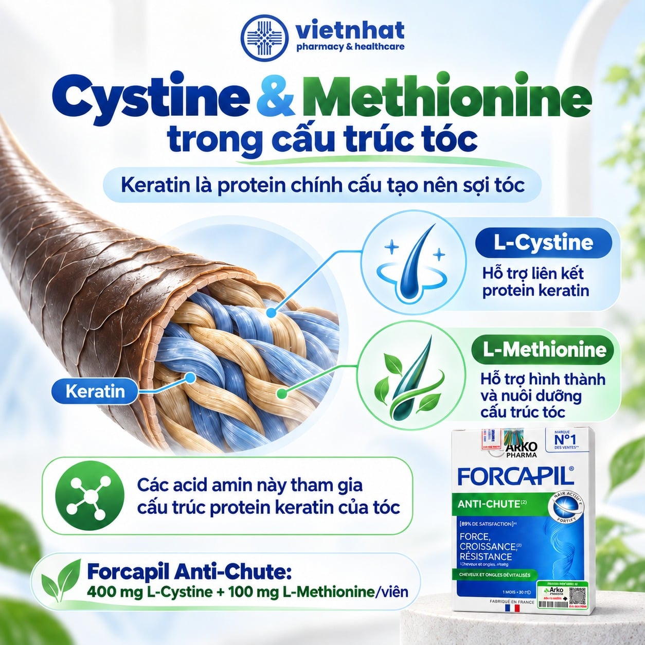 nhathuocvietnhat.vn-L-Cystine và L-Methionine tham gia cấu trúc keratin của tóc