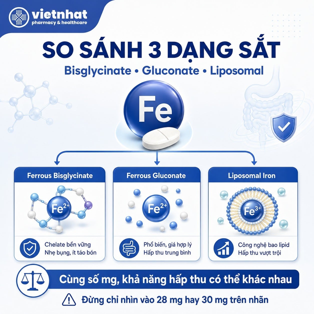 nhathuocvietnhat.vn-So sánh sắt bisglycinate, ferrous gluconate và sắt liposomal về dạng sắt và khả năng hấp thu