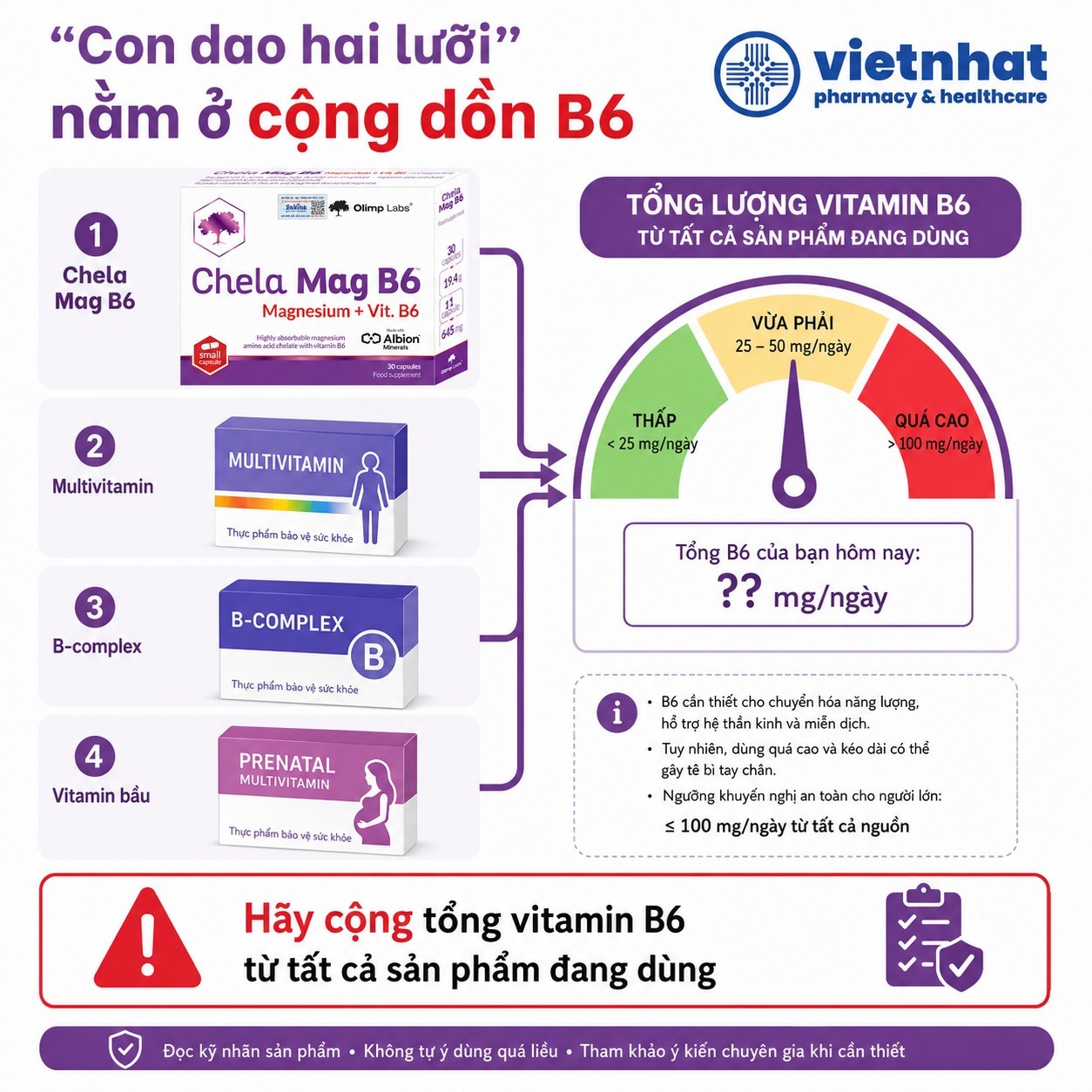 nhathuocvietnhat.vn-Cảnh báo cộng dồn vitamin B6 từ Chela Mag B6 multivitamin B complex và vitamin bầu
