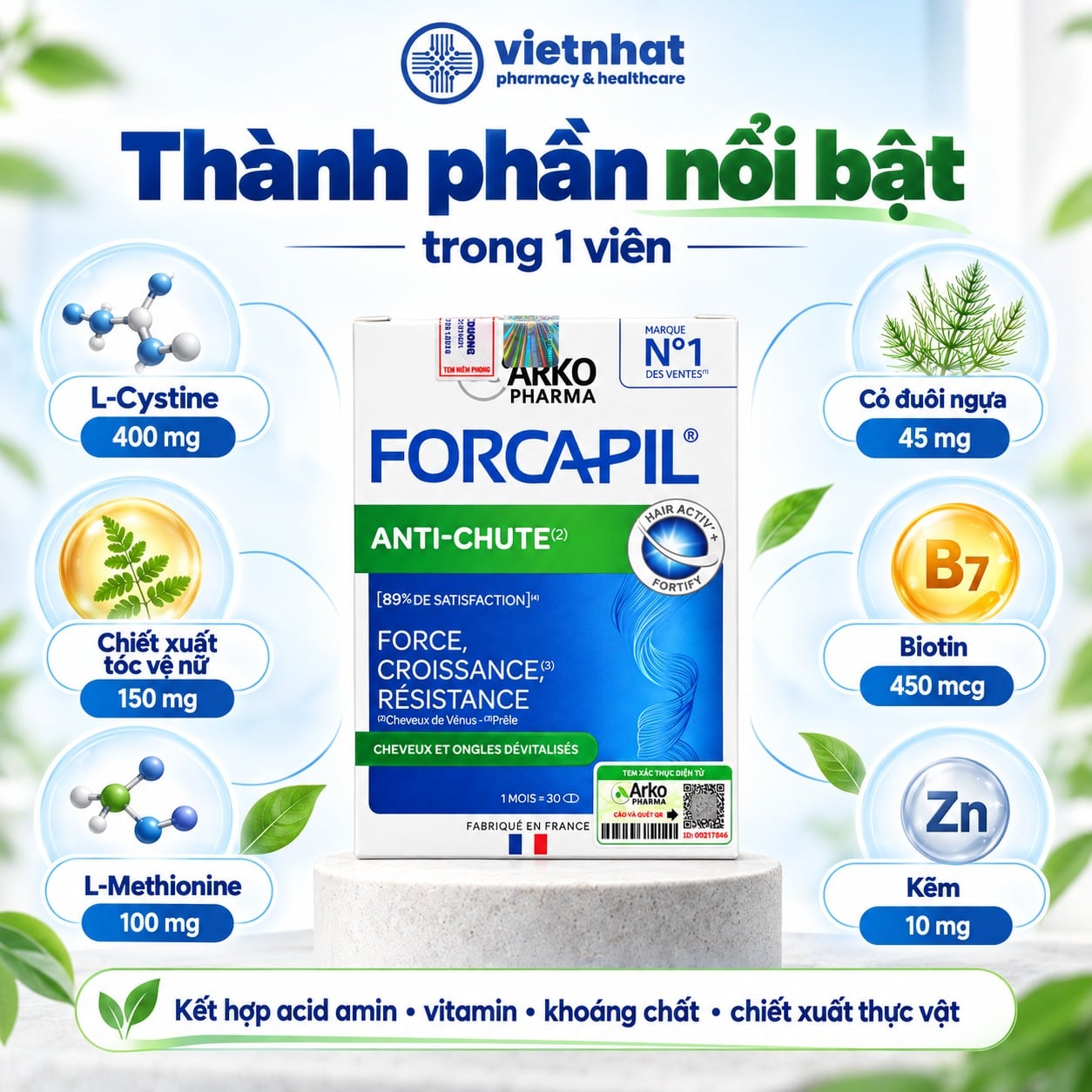 nhathuocvietnhat.vn-Thành phần của Forcapil Anti-Chute