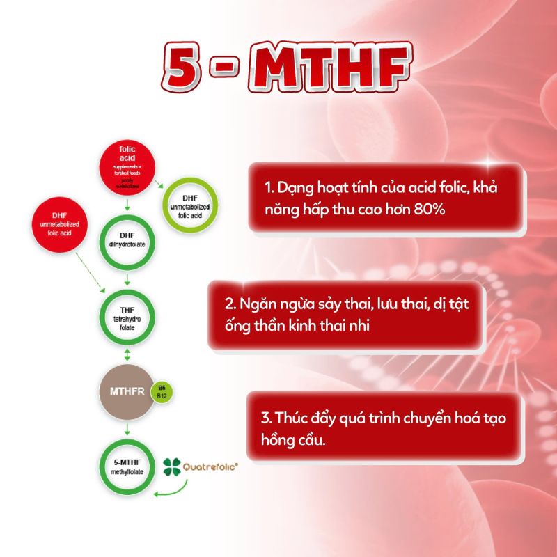 nhathuocvietnhat.vn -  Imochild Lipoferon Bổ sung 5 MTHF, giảm nguy cơ dị tật ống thần kinh ở thai nhi.