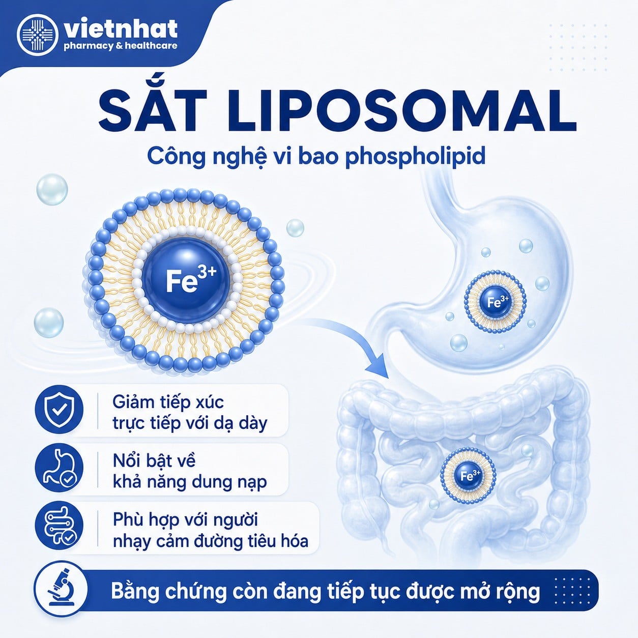 nhathuocvietnhat.vn-Sắt Liposome là dạng sắt được bao bọc bởi lớp màng phospholipid giúp tăng hấp thu, giảm kích ứng tiêu hóa