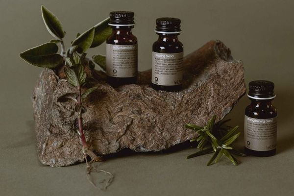 Kết nối hơi thở của thiên nhiên với mái tóc và da đầu