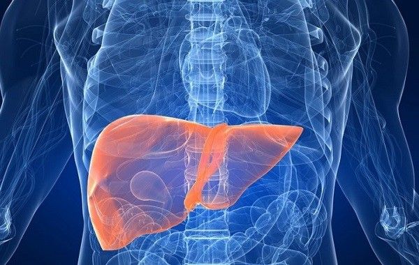 Những dấu hiệu thường gặp khi gan bắt đầu bước sang giai đoạn nặng mà bạn nên chú ý !!!