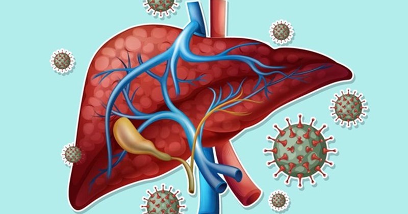 💥 80% người bị gan nhiễm mỡ không hề biết mình mắc bệnh cho đến khi… đã xơ gan!