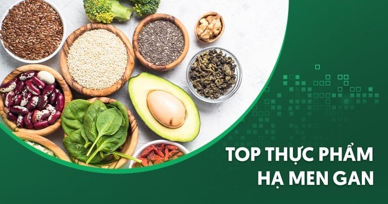 🌿 5 NHÓM THỰC PHẨM GIÚP HẠ MEN GAN & DUY TRÌ LÁ GAN KHỎE MẠNH