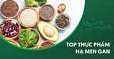 🌿 5 NHÓM THỰC PHẨM GIÚP HẠ MEN GAN & DUY TRÌ LÁ GAN KHỎE MẠNH