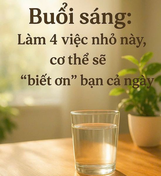 🌞 Buổi sáng: Làm 4 việc nhỏ này, cơ thể sẽ “biết ơn” bạn cả ngày