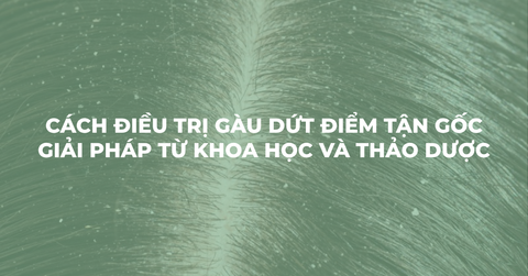 Cách điều trị gàu dứt điểm tận gốc: Giải pháp từ khoa học và thảo dược chuyên sâu