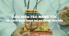 Chân tóc bị teo và rụng: Hiểu rõ nguyên nhân sinh học và liệu pháp phục hồi nang tóc chuyên sâu