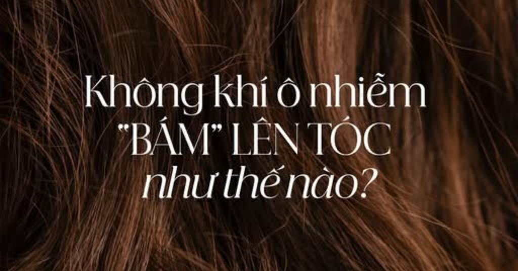 Ô nhiễm không khí ảnh hưởng đến tóc và da đầu như thế nào