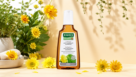 Liệu trình 3 bước trị gàu khô tại nhà với Rausch Coltsfoot