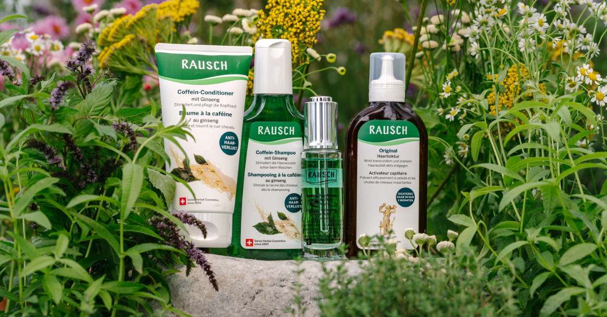 5 Lý do Rausch Ginseng là lựa chọn hàng đầu cho người rụng tóc lâu năm