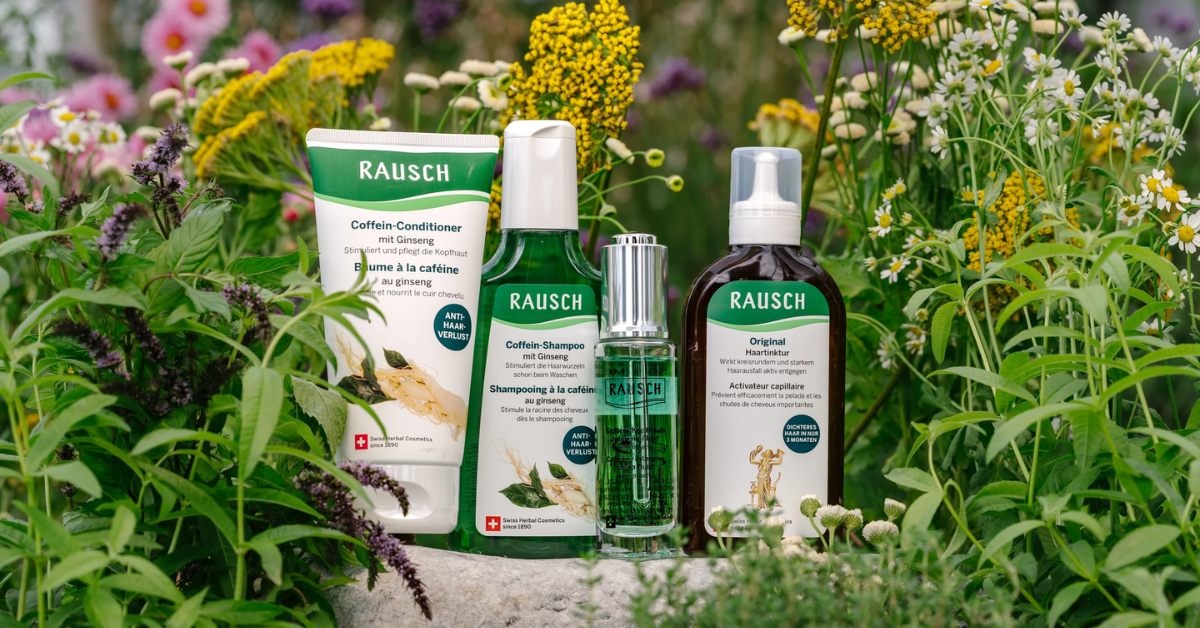 Caffeine & Nhân sâm trị rụng tóc: Cơ chế kích thích nang tóc được chứng minh như thế nào?