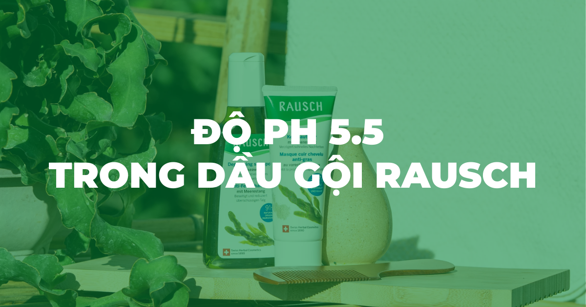Tại sao độ pH 5.5 trong dầu gội Rausch lại quan trọng với hàng rào bảo vệ da đầu?