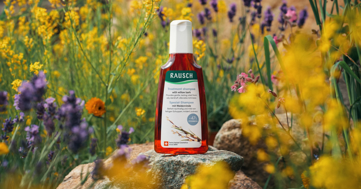 Review dầu gội Rausch Willow Bark: Tuyệt chiêu loại bỏ gàu cứng đầu và ngứa da đầu bằng vỏ cây liễu