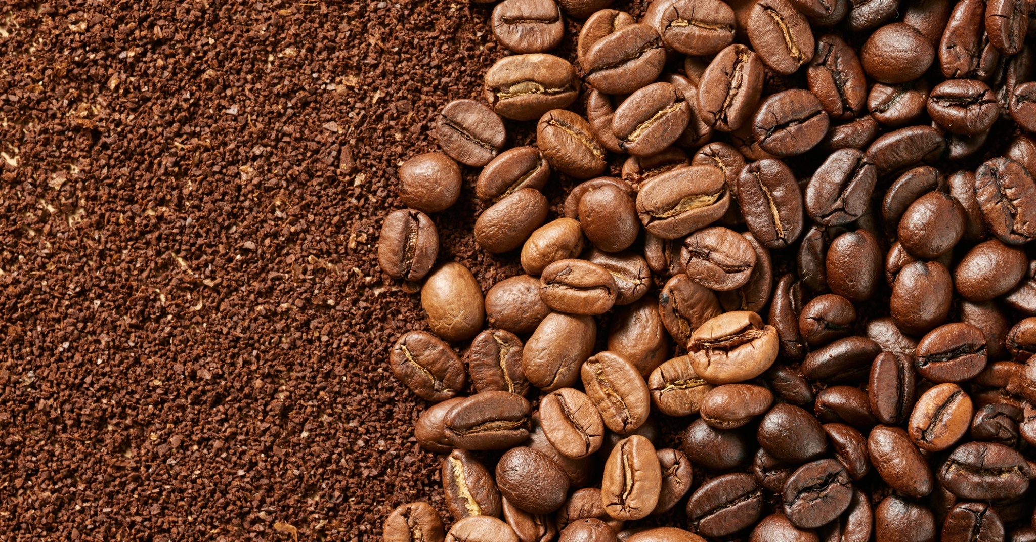 Caffeine trong dầu gội là gì?