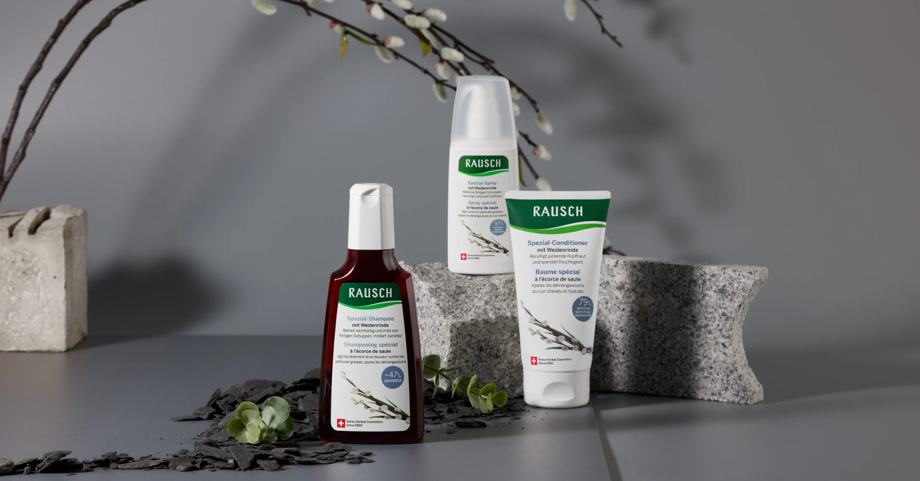 Rausch Willow Bark -&nbsp;Giải pháp chăm sóc da đầu dầu và dễ bết từ thảo dược Thụy Sĩ