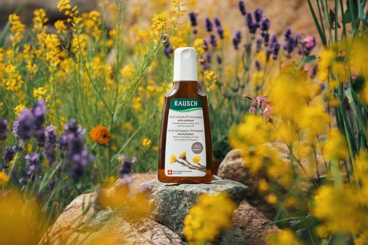 dau-goi-rausch-coltsfoot-anti-dandruff-shampoo-phan-an-asia