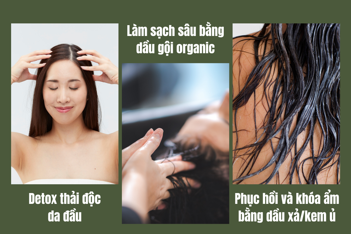 ba-buoc-cham-soc-toc-chuan-khoa-hoc-phan-an-asia