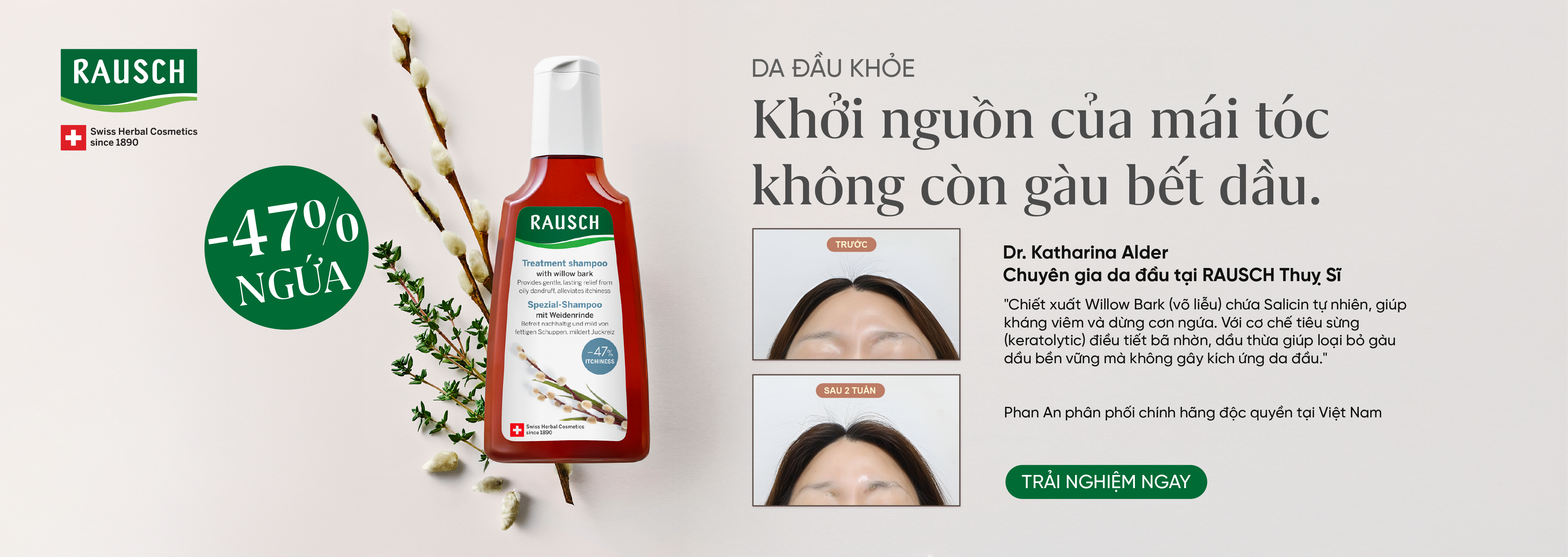 Willow bark - Vỏ cây liễu