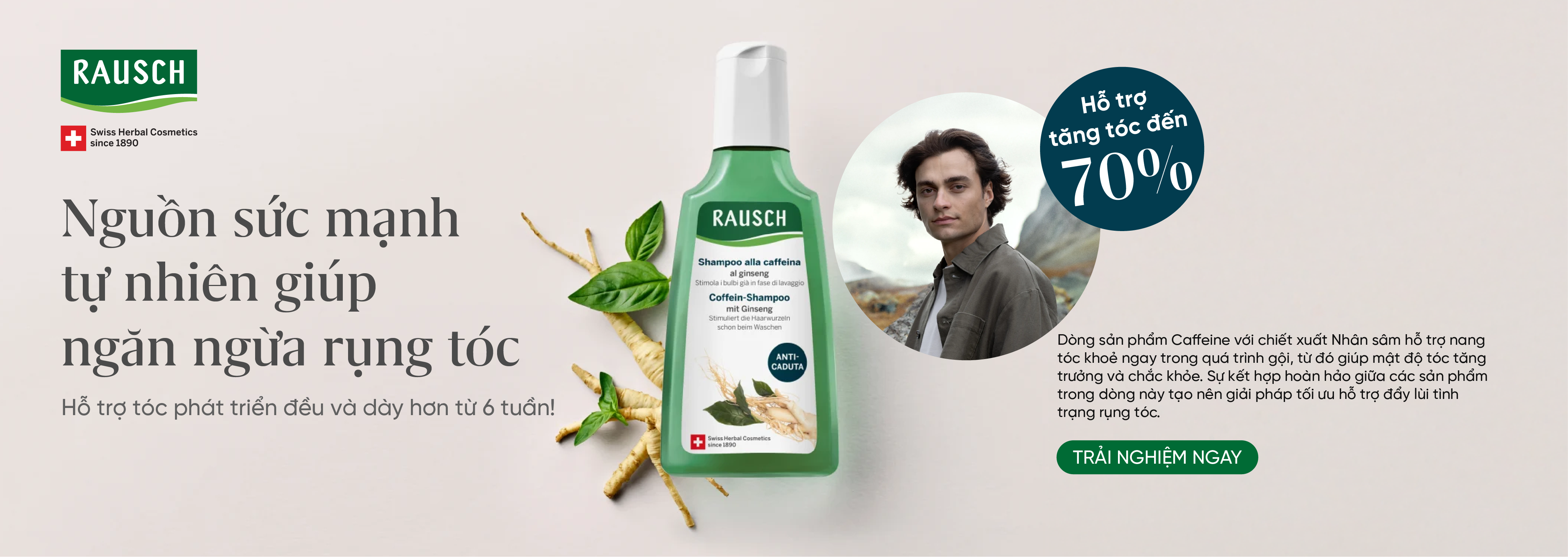 Ginseng - Nhân sâm