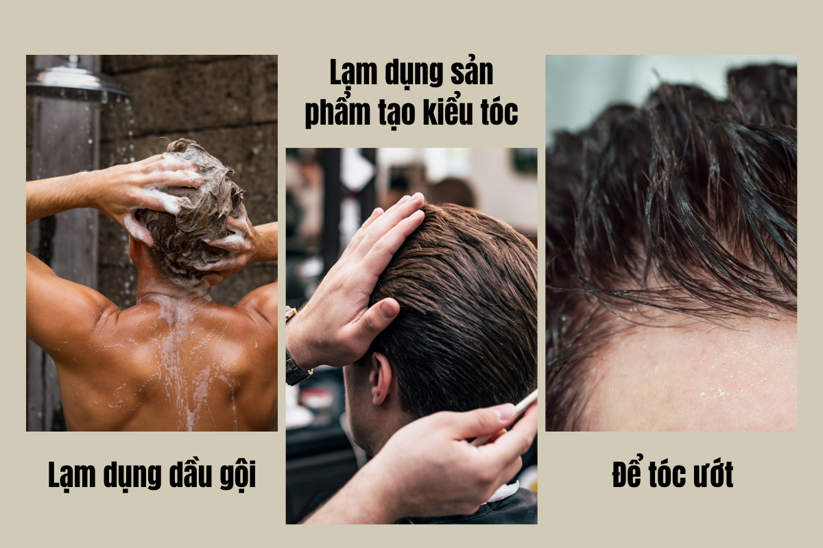 sai-lam-khi-tri-gau-o-nam-gioi-phan-an-asia